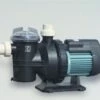 Swimming Pool Water Pump SS 033
